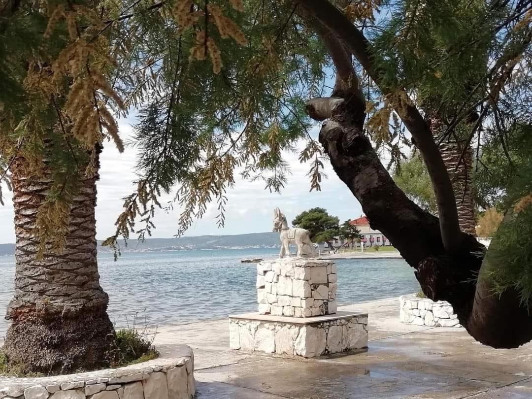 Toma Kastela